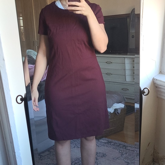 NWOT Brooks Brothers Red Fleece Purple Dress L - Picture 5 of 6